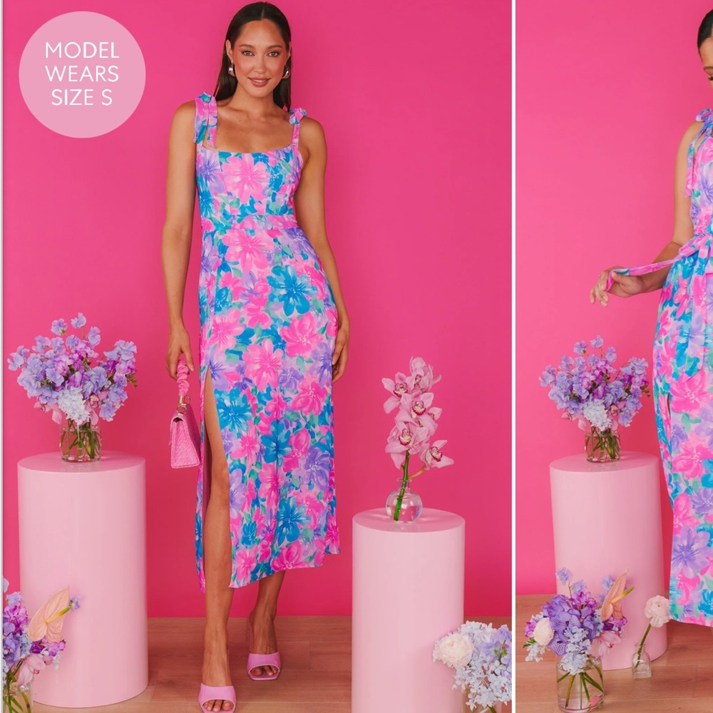 Show Me Your MuMu willow Midi dress